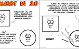 2DWelt_28